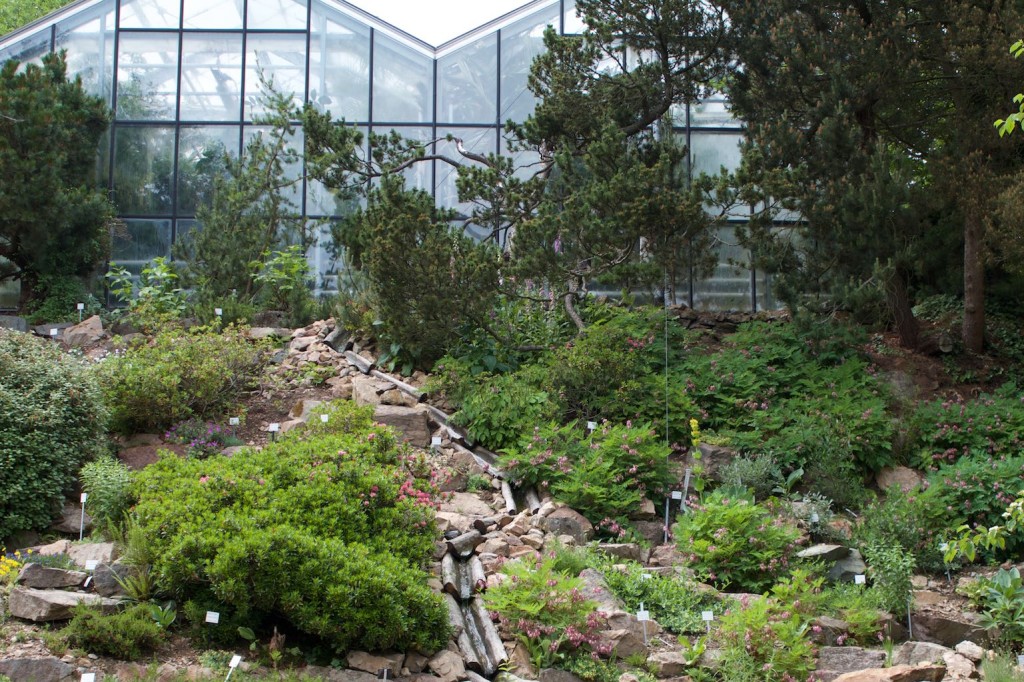 Gewächshaus im Forstbotanischer Garten Tharandt