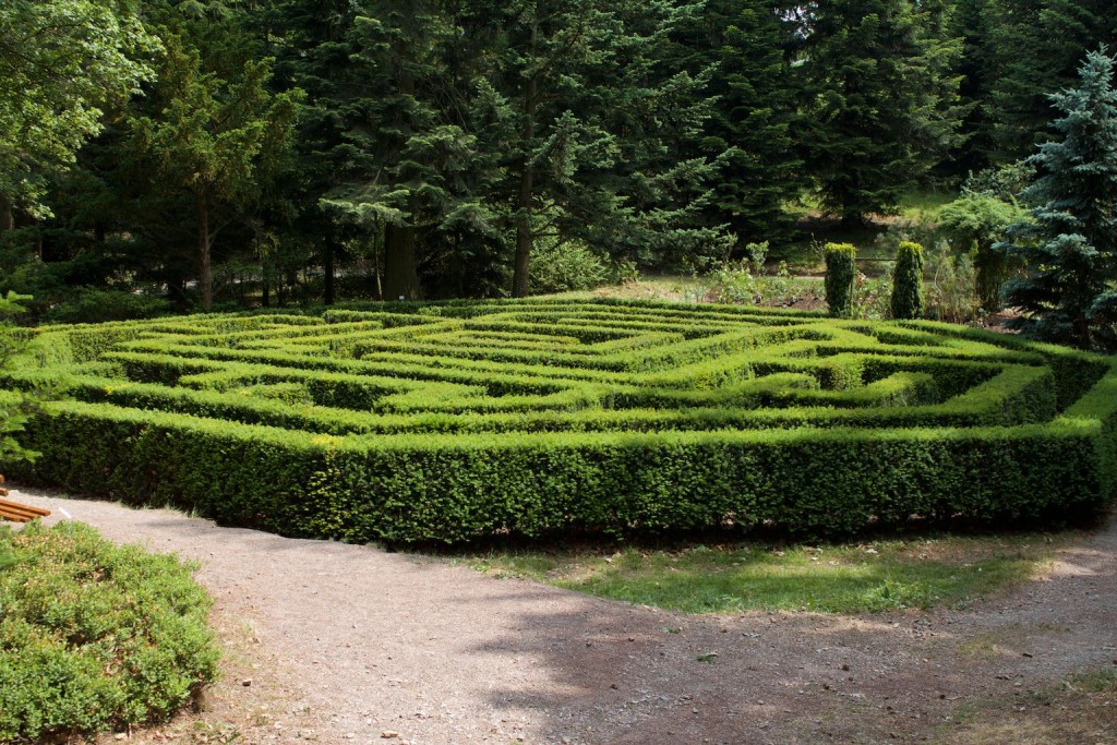 Labyrinth im Forstbotanischen Garten Tharandt